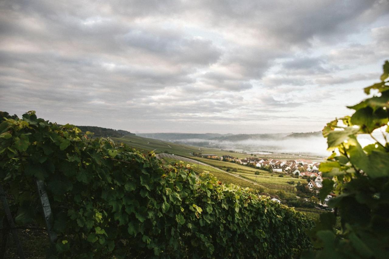 Weingut Pastoriushaus - Artur Steinmann Hotel Sommerhausen Exterior foto